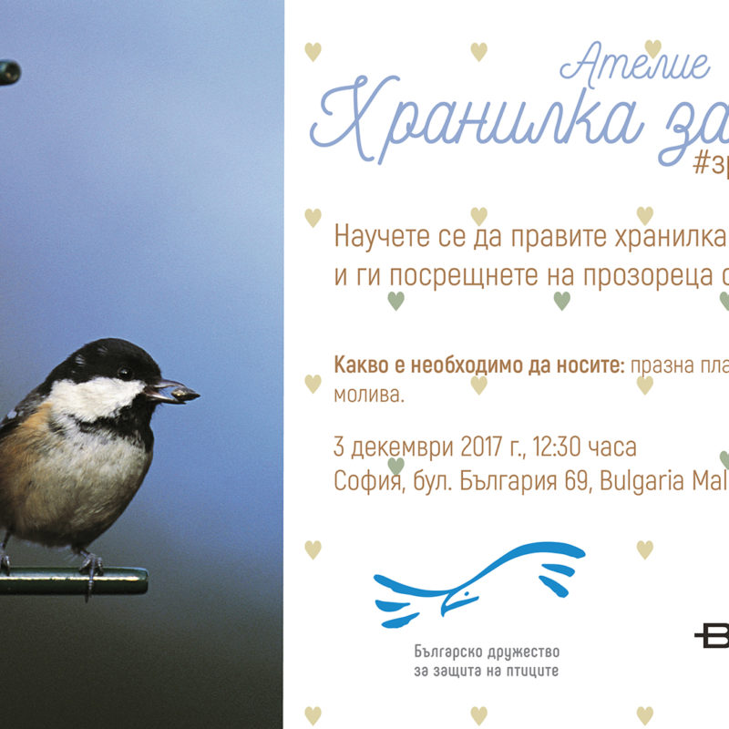Ателие "Хранилка за птици" #зрънцелюбов