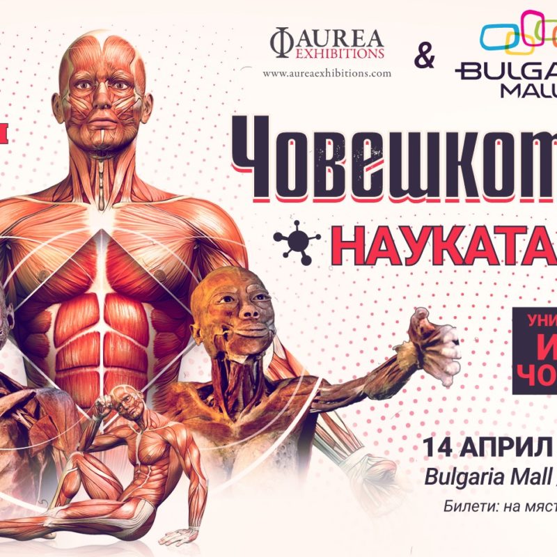 Човешкото тяло – Науката в нас