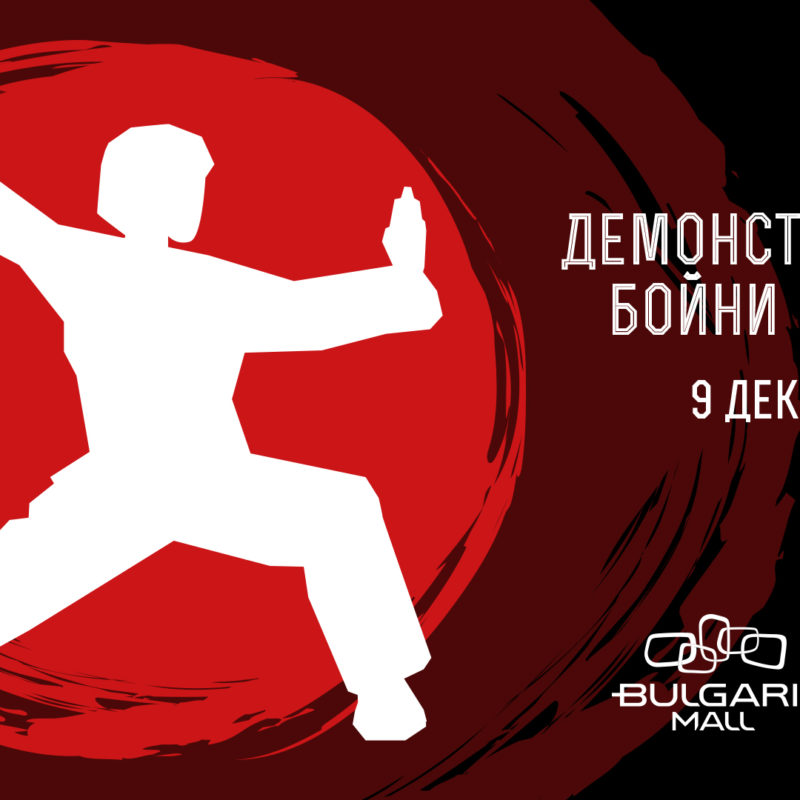 Демонстрация по бойни изкуства