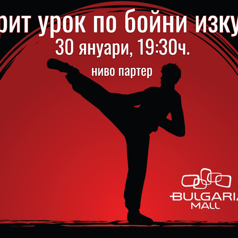 Oткрит урок по бойни изкуства