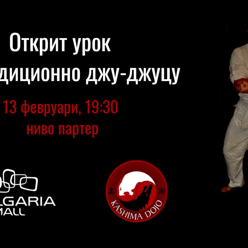 Oткрит урок по традиционно джу-джуцу