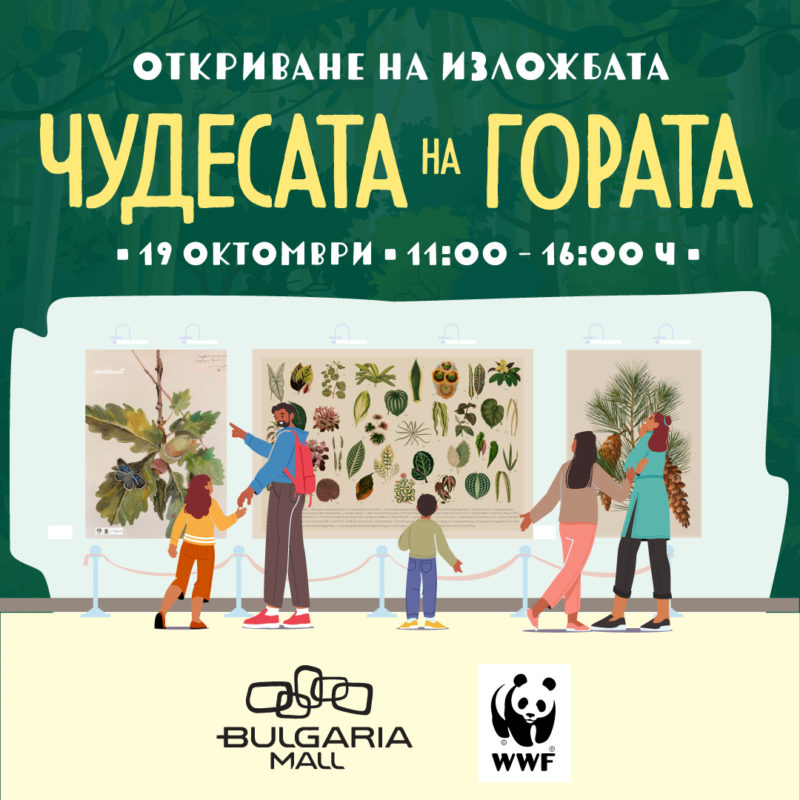 Виж как се ражда гора в Bulgaria Mall